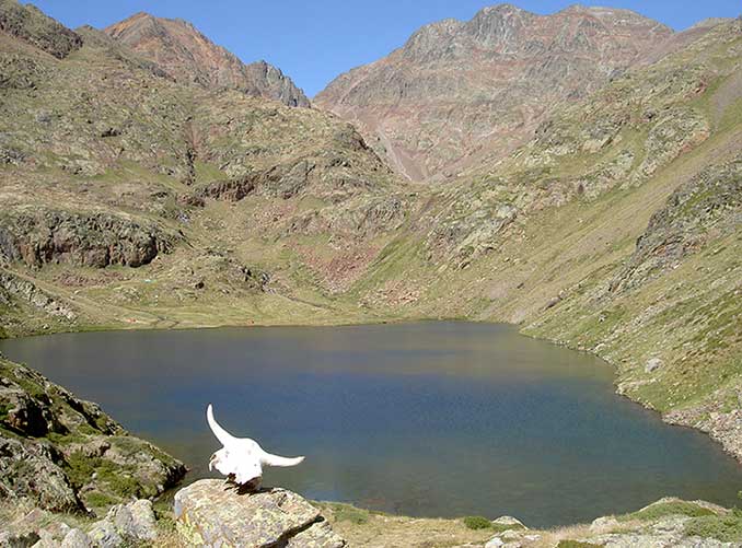 L' Estany de Sotllo i la Pica d'Estats al fons