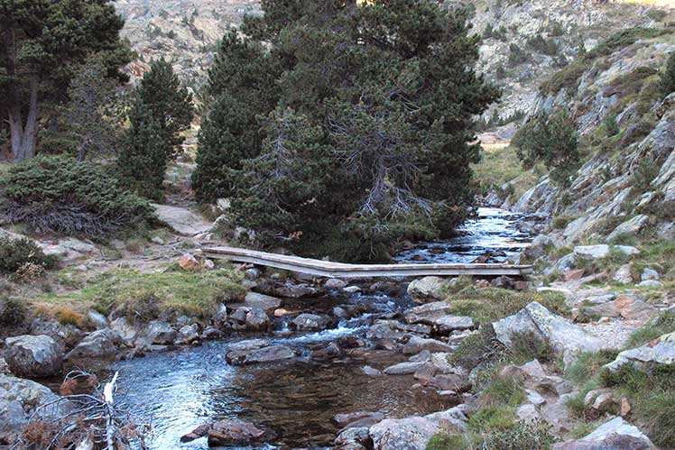 Pont sobre el torrent