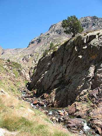 El camí segueix paral·lel al torrent