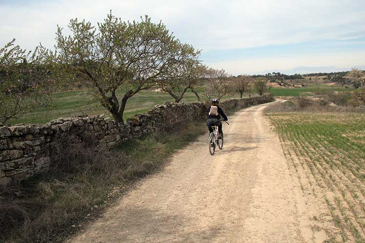 En bici pel camí