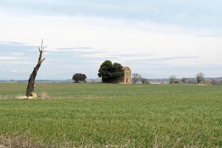 Planura de la Segarra