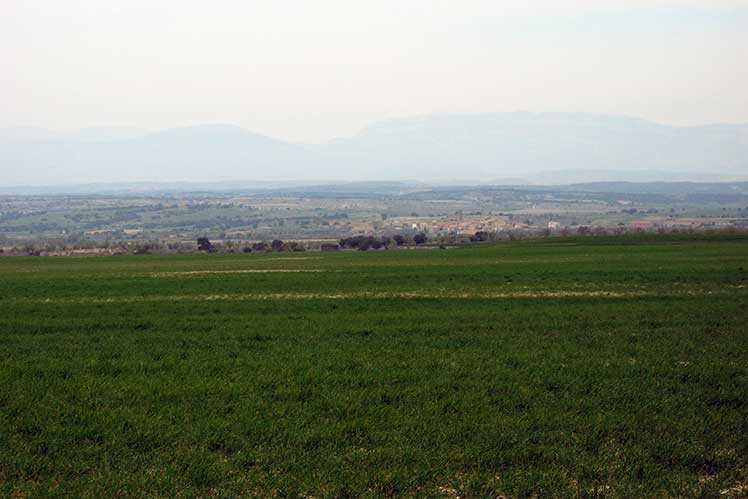 Planura de la Segarra