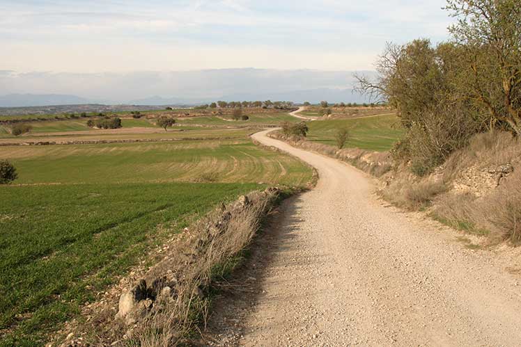 D'Hostafrancs a l'Aranyó