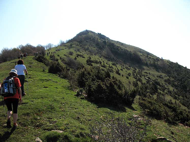 Camí de pujada