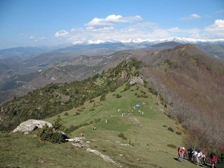 Pla de Primavera