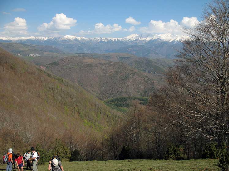 Vista dels Pirineus