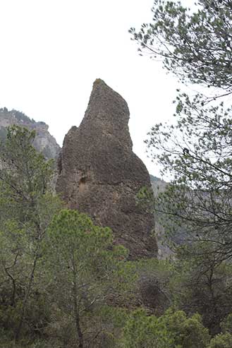 Agulla del Frare de la Vall