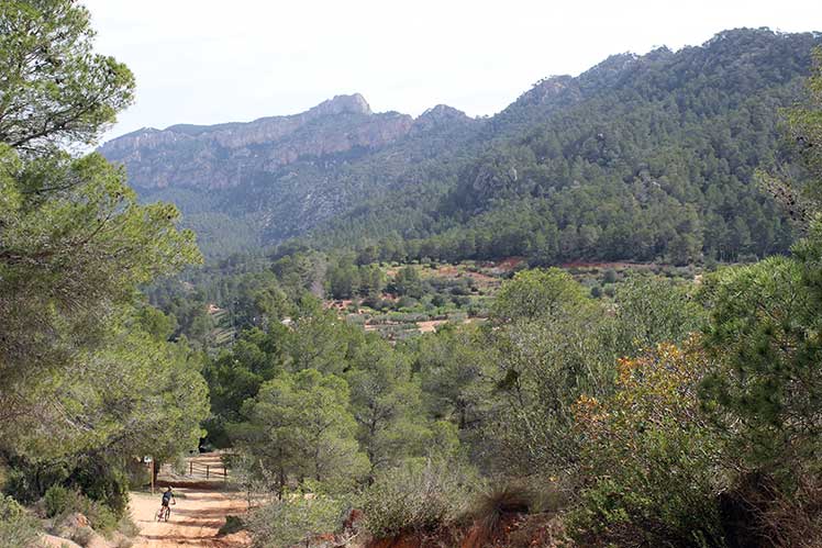 Vista de la Serra de Pàndols a la dreta