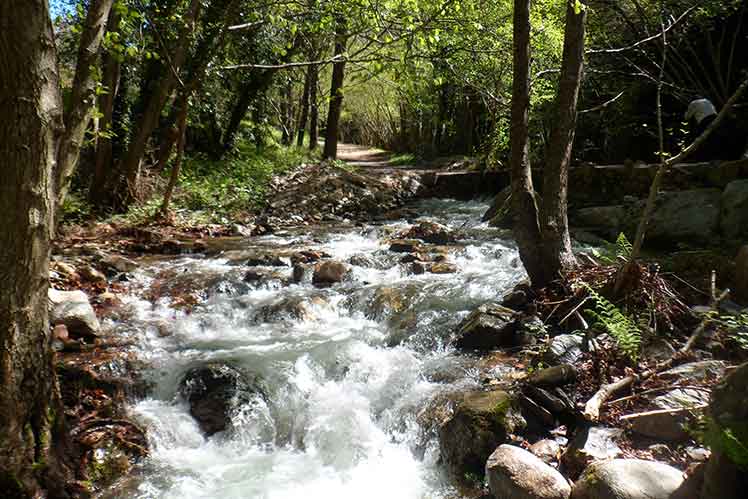 La Tordera