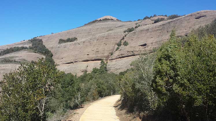 Camí de tornada