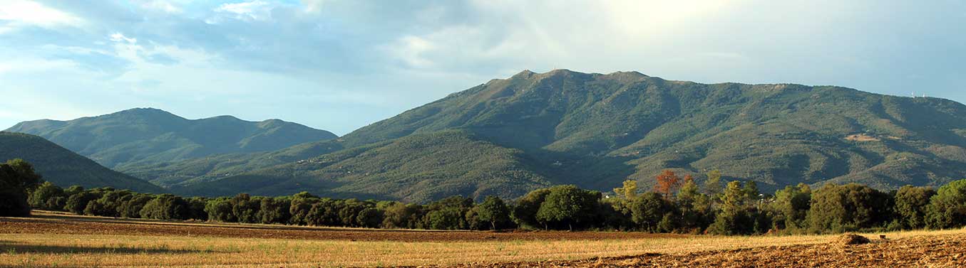 Panoràmica del Montseny des de Santa Maria de Palautordera