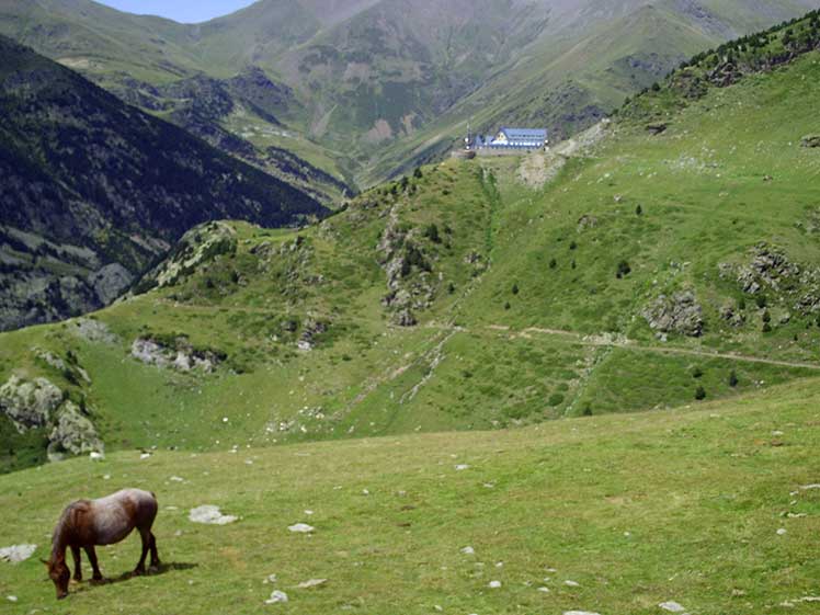 Camí de l'alberg al coll de Torreneules