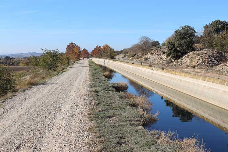 Camí vora el canal d'Urgell