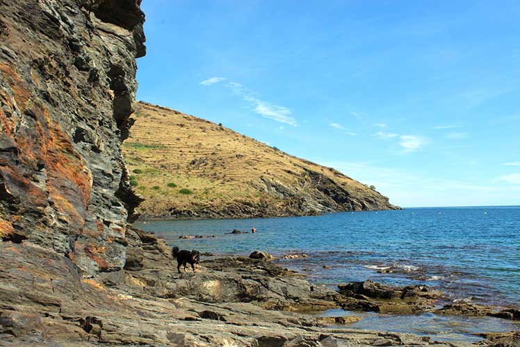 La costa nord de Portbou