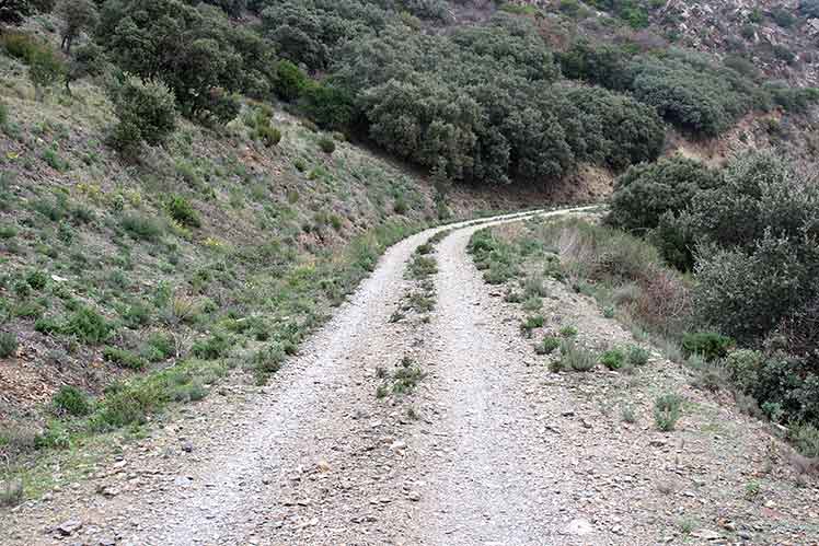 Camí de baixada