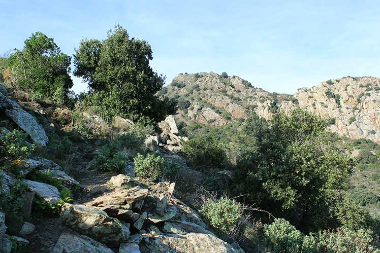 Camí de pujada del tram final