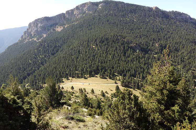 Coll de Jovell i el Cadinell en segon terme