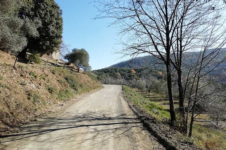 El camí a prop de St. Martí