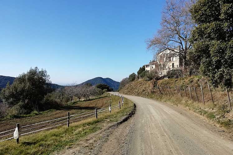 El camí i el Montnegre