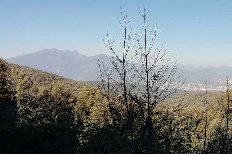 Vista del Montseny