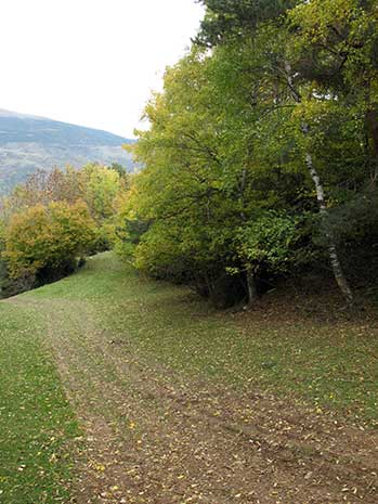 Camino de bajada