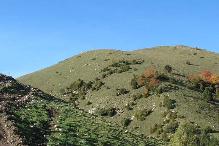 Camino al Taga