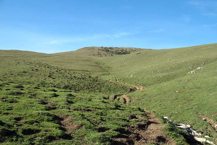 Sendero con el Taga al fondo