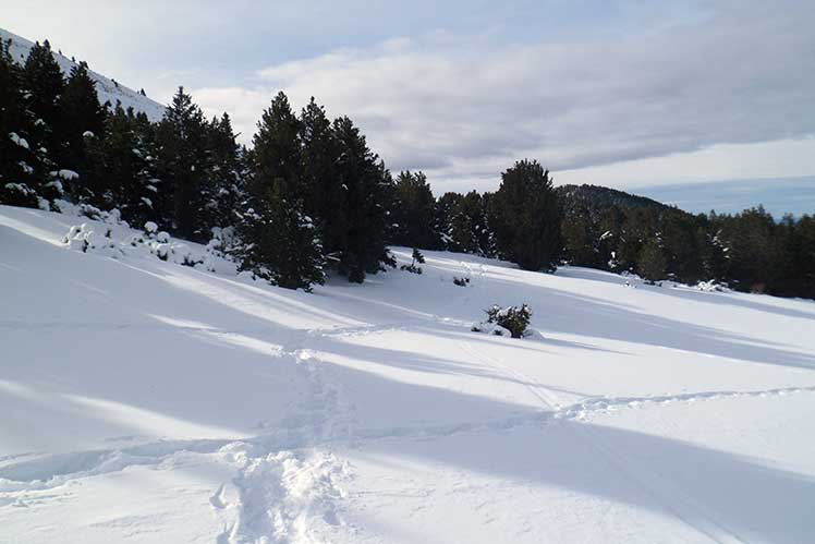 Prat de Casalí