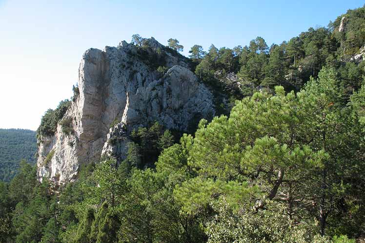 Panoràmica del camí de pujada