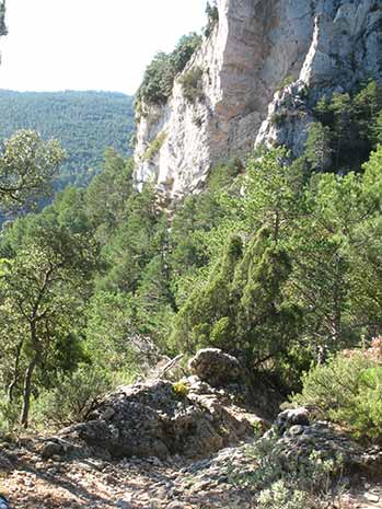 Vista del camí de pujada